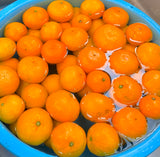 瀬戸内みかんドルチェ マーマレード