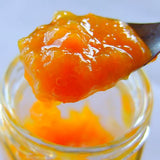 瀬戸内みかんドルチェ マーマレード