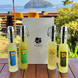 ウィンターギフト「生チェッロ4種のセット」（お歳暮・お年賀カード無料）