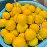 つぶつぶキウイと香るゆずきち