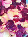 母の日ギフト　春の贅沢2種