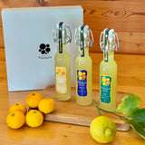 贈答におすすめ　かわいい器械瓶の生レモンチェッロ　3種飲み比べセット　160ml×3本 （化粧箱付）