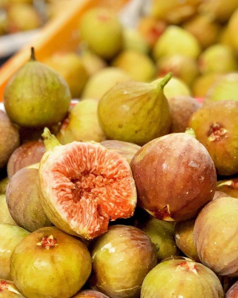 専用】シナモンフレーバーのイチジク N-06 挿木苗 イチジク 苗