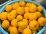 自家農園のゆず