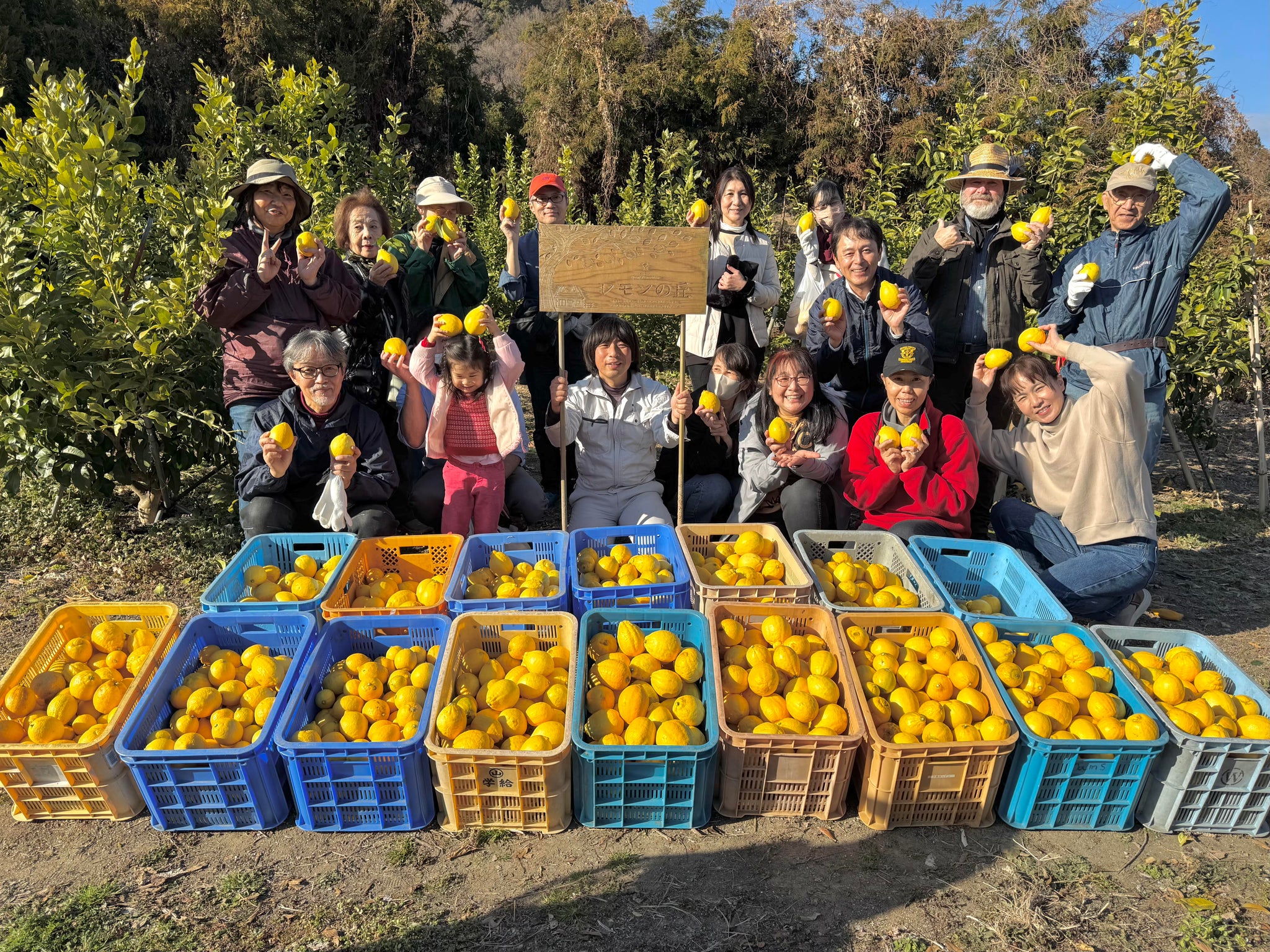 レモンチェッロ | 瀬戸内の「生レモンチェッロ」500ml（オリジナル